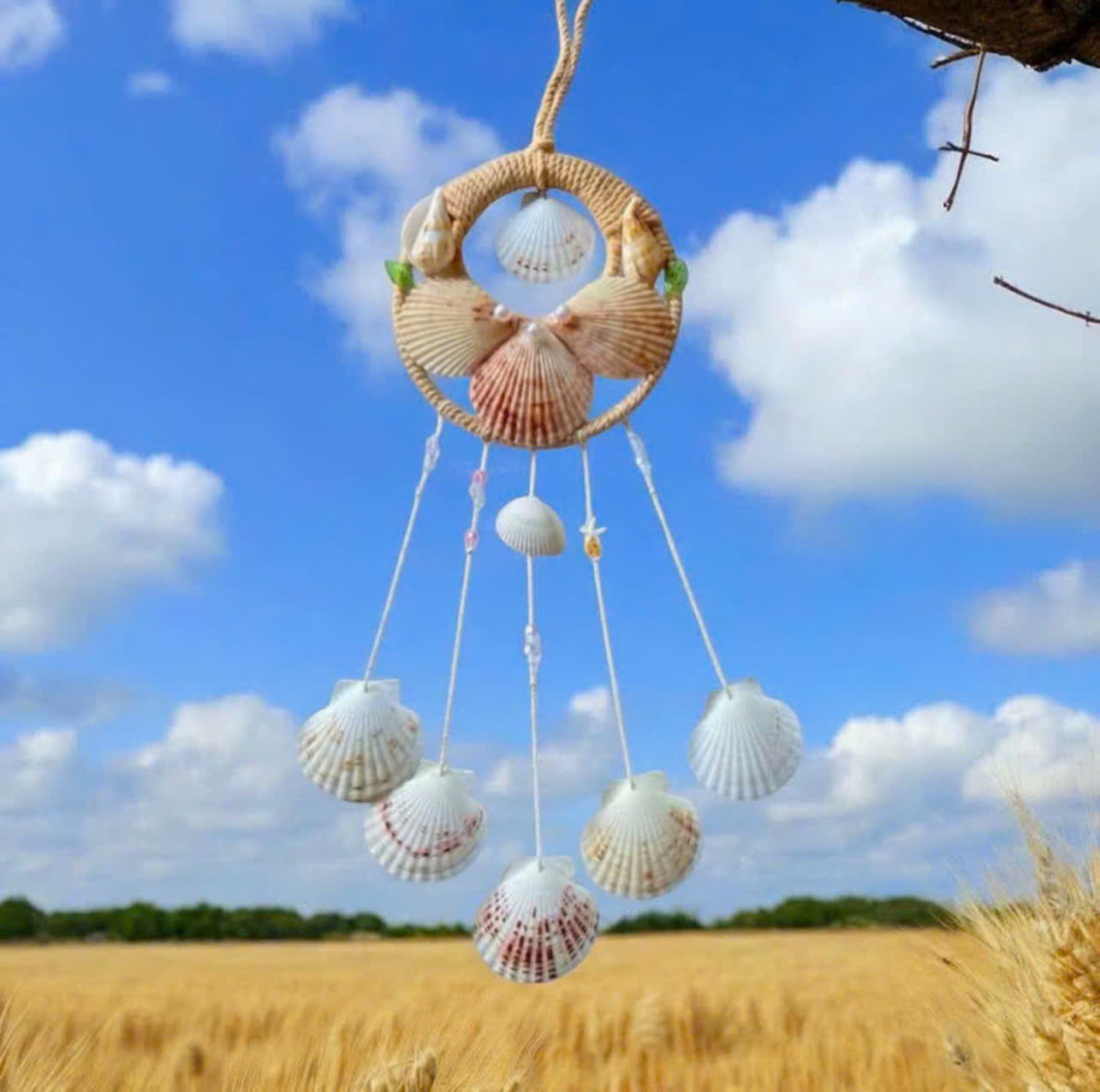 Handmade Seashell Dreamcatcher Wall Decor